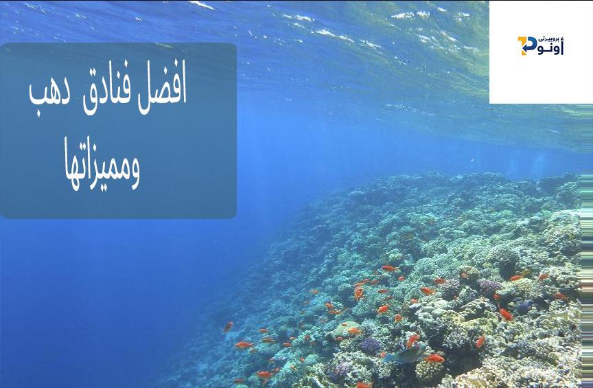 The best hotels and properties in Dahab